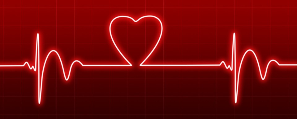 Brandi Bravo – Heart Monitor Off / HeartLight On
